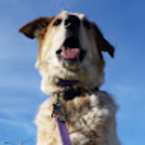 Meet your Posher, Lynnette